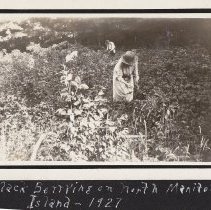 Black Berring on North Manitou Island 1927