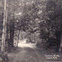 Indiana Woods - Leland, Mich.