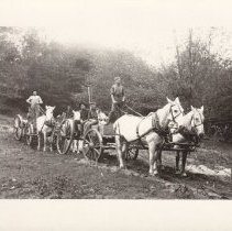 Workers on North Manitou Island