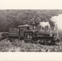 On the Smith & Hull Railroad - Crescent, Mich.