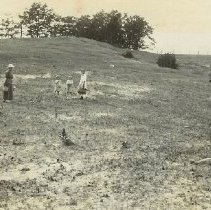 Picking blackberries