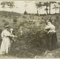 Picking blueberries