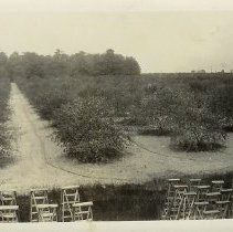 Cherry Home Orchards