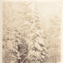 Winter, Suttons Bay, Mich.