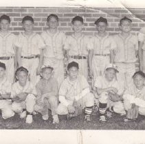 Boys baseball team
