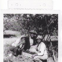 Freddie Young & Cherry Pickers