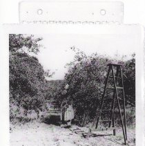 Woman working in orchard