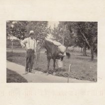 Man and pack horse