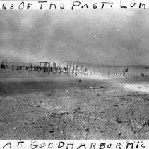 Ruins of the Past: Lumber