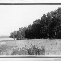 Meadow and woods at lake