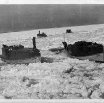 Four fish tugs in ice