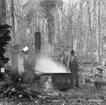 Making maple syrup in the woods