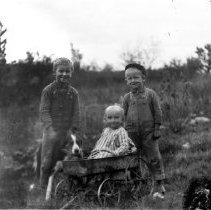 Three children of the White family