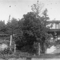 House and flowers on North Manitou Island