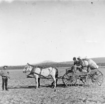 Horse and Buggy - Oregon
