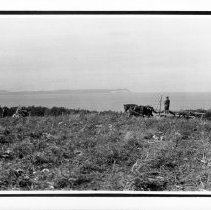 Horse and wagon on bluff over looking Lake Michigan