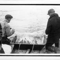 Setting nets