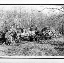 Getting in Wood for Winter