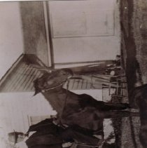 John Elder on Horseback
John Elder on Horseback