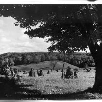 Beautiful Hilly Landscape