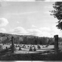 Landscape with Wooden Fence