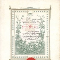 Marriage Certificate. Steiner C. Garthe to Elizabeth F. Bahle 1889