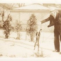 "Peg Begging" Man and dog