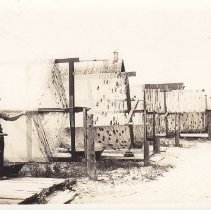 Postcard - Photograph