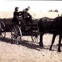 Horse Wagon Grocery Delivery