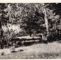 Scene at Blue Lantern Tea Room - Leland, Michigan