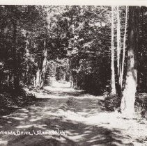 Indiana Woods Drive, Leland, Michigan