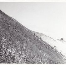 Sleeping Bear Sand Dunes