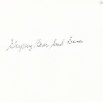 Sleeping Bear Sand Dunes