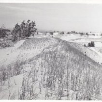 Sleeping Bear Sand Dunes