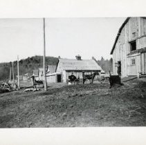 Crescent City Street with horse and buggy