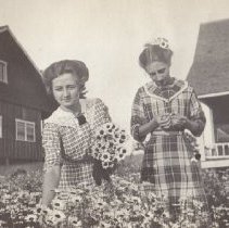 Ladies Picking Flowers