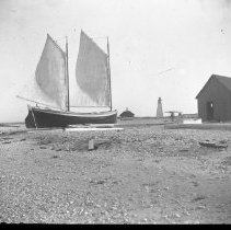 Negative, Glass Plate
