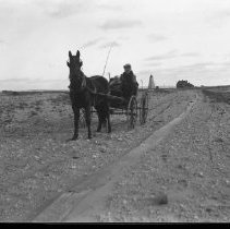 Negative, Glass Plate