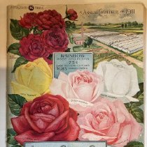 Annual Catalogue for 1911