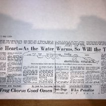 Take heart as the water warms, so sill the trout