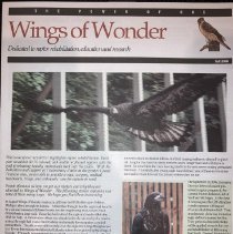Wings of Wonder newsletter