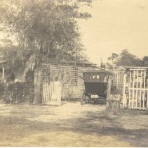 Ruthardt Postcard Collection