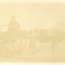 Ruthardt Postcard Collection