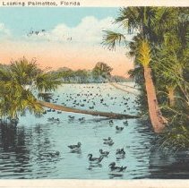 Ruthardt Postcard Collection