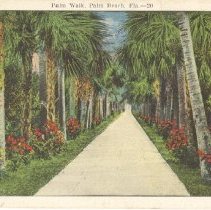 Ruthardt Postcard Collection