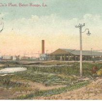 Ruthardt Postcard Collection