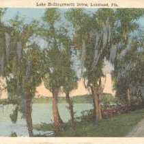 Ruthardt Postcard Collection