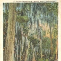 Ruthardt Postcard Collection