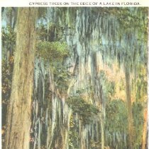 Ruthardt Postcard Collection