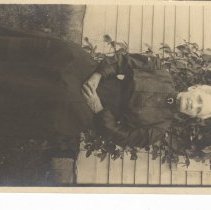 Ruthardt Postcard Collection